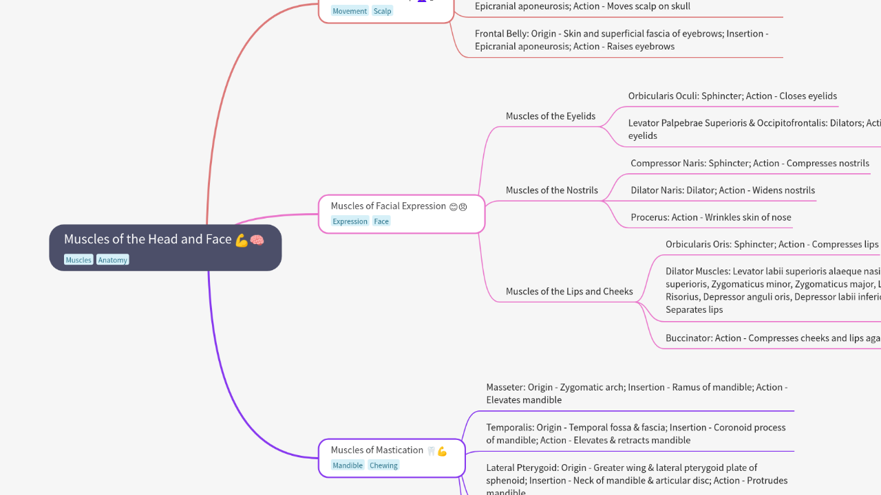 Mind Map:Muscles of the Head and Face ...