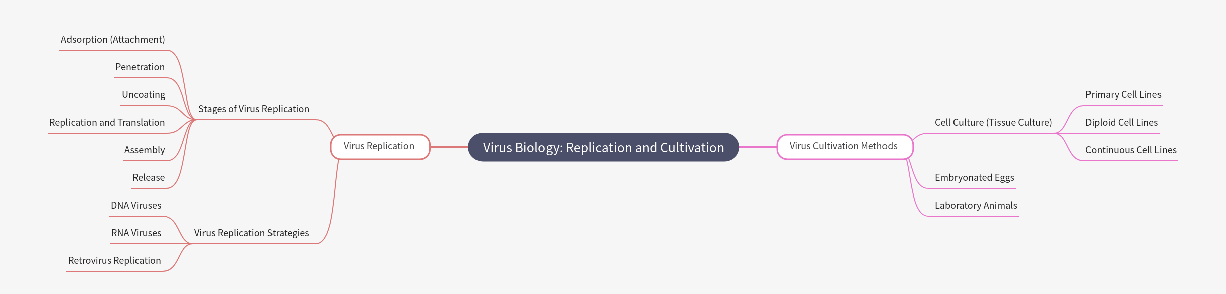 Virus Biology: Replication and Cultivation Explained
