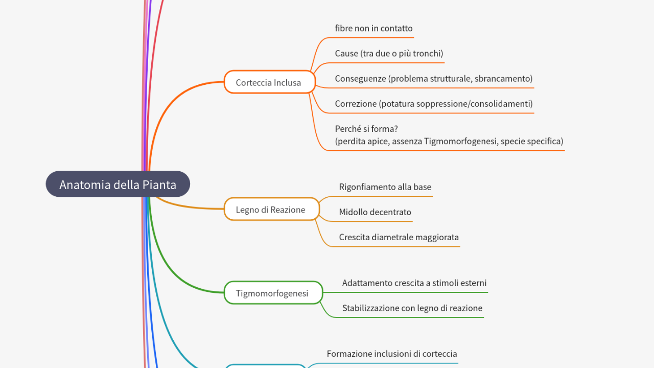 Mind Map:Anatomia della Pianta ...