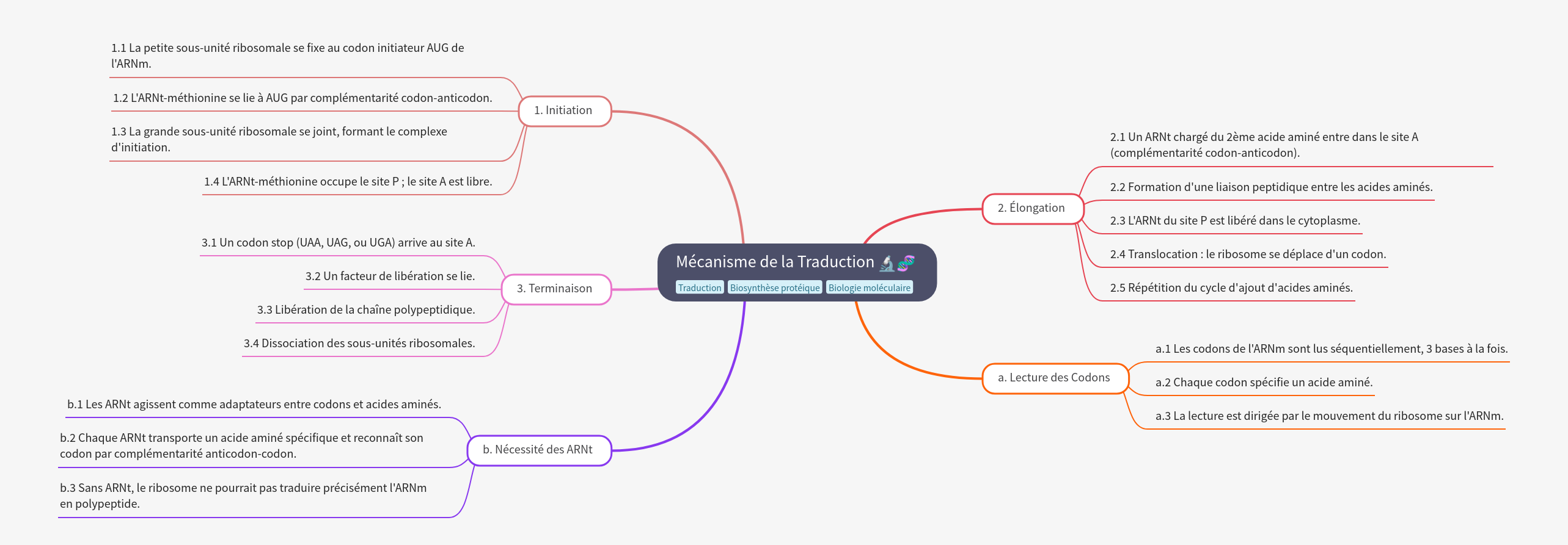 Mechanism of Translation: Protein Synthesis