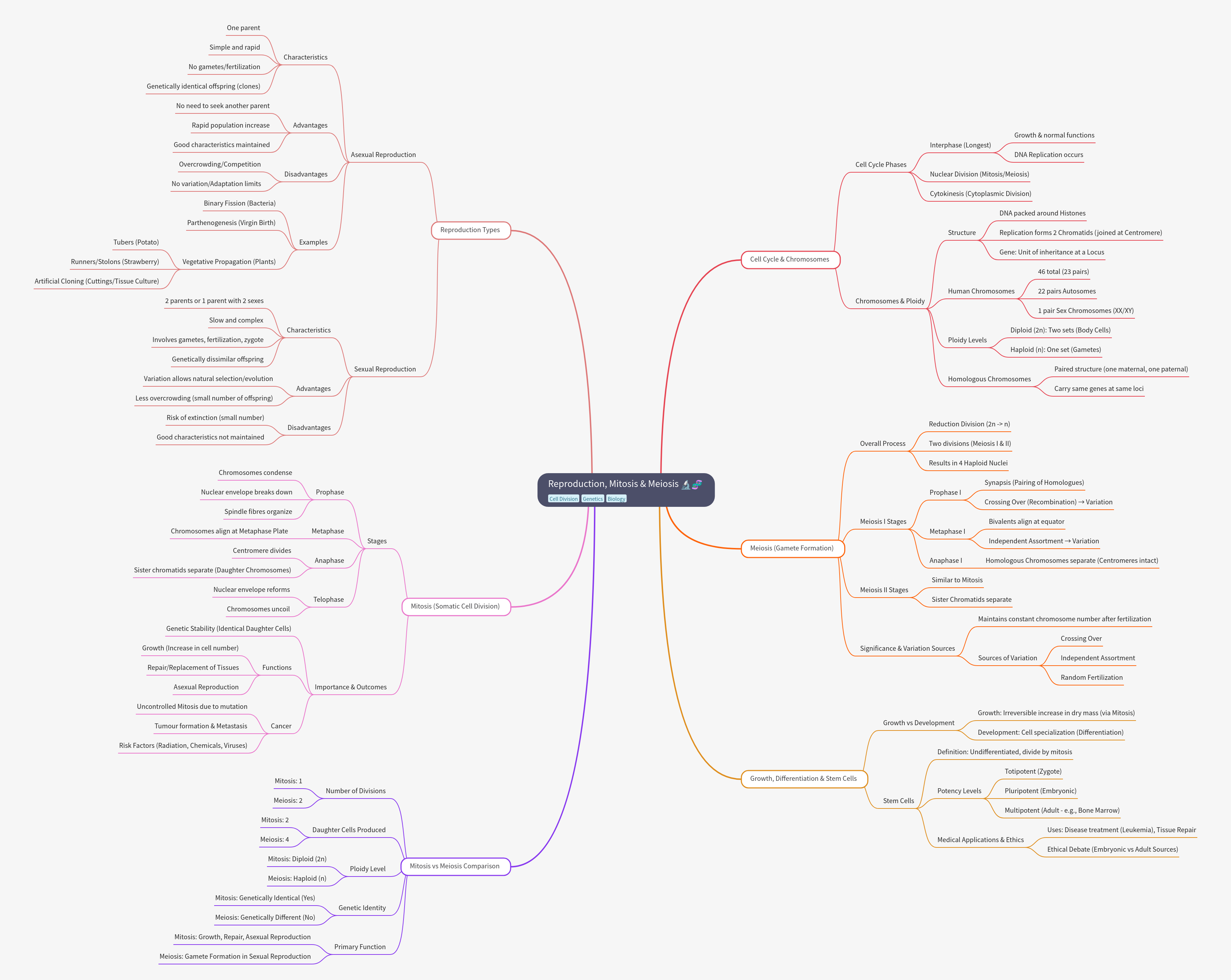 Reproduction, Mitosis, and Meiosis Explained