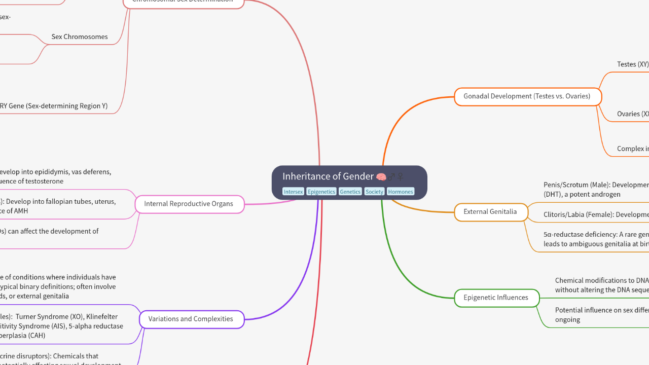 Mind Map:Inheritance of Gender ...
