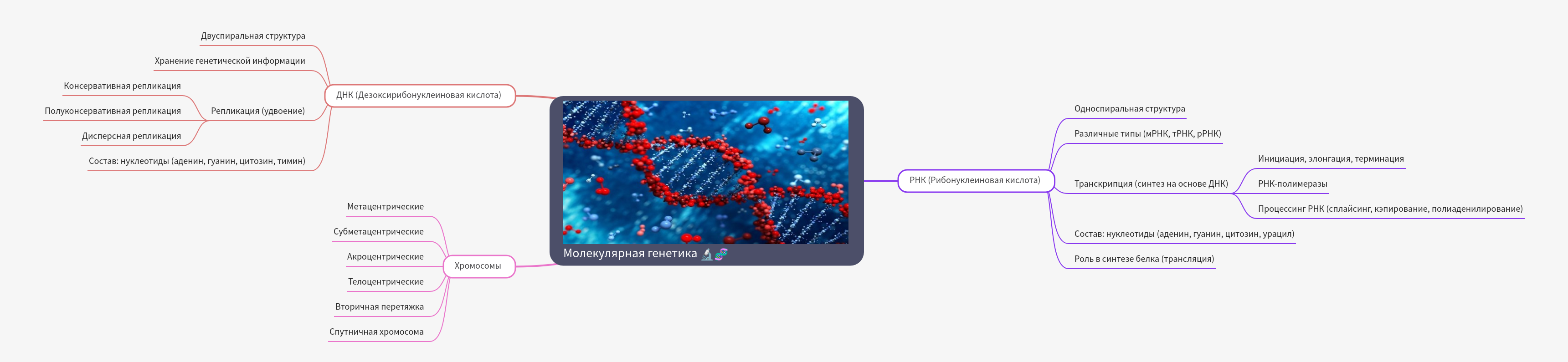 Molecular Genetics: DNA, RNA, and Chromosomes