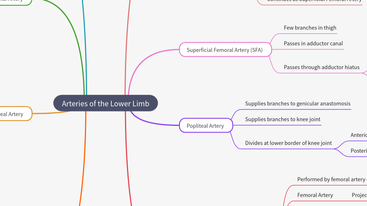Mind Map:Arteries of the Lower Limb ...