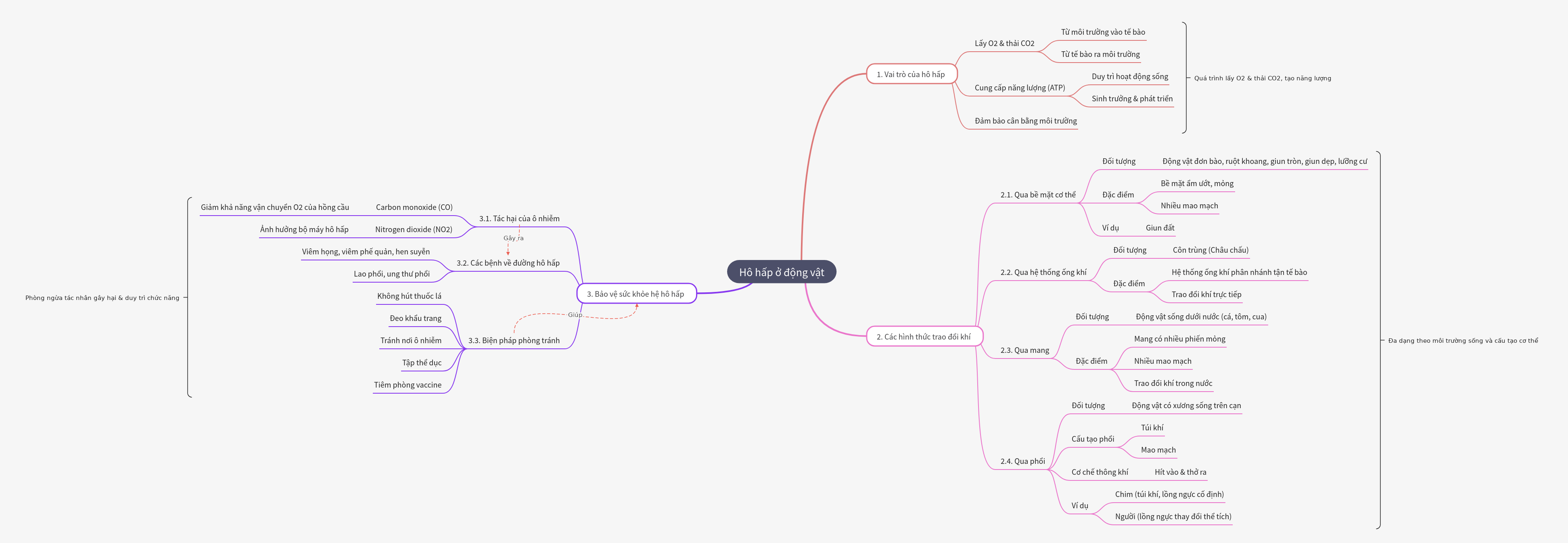 Respiration in Animals: Role, Forms, and Health