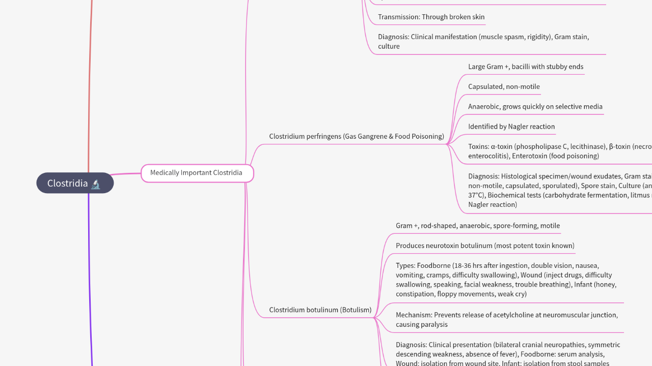 Mind Map:Clostridia ...