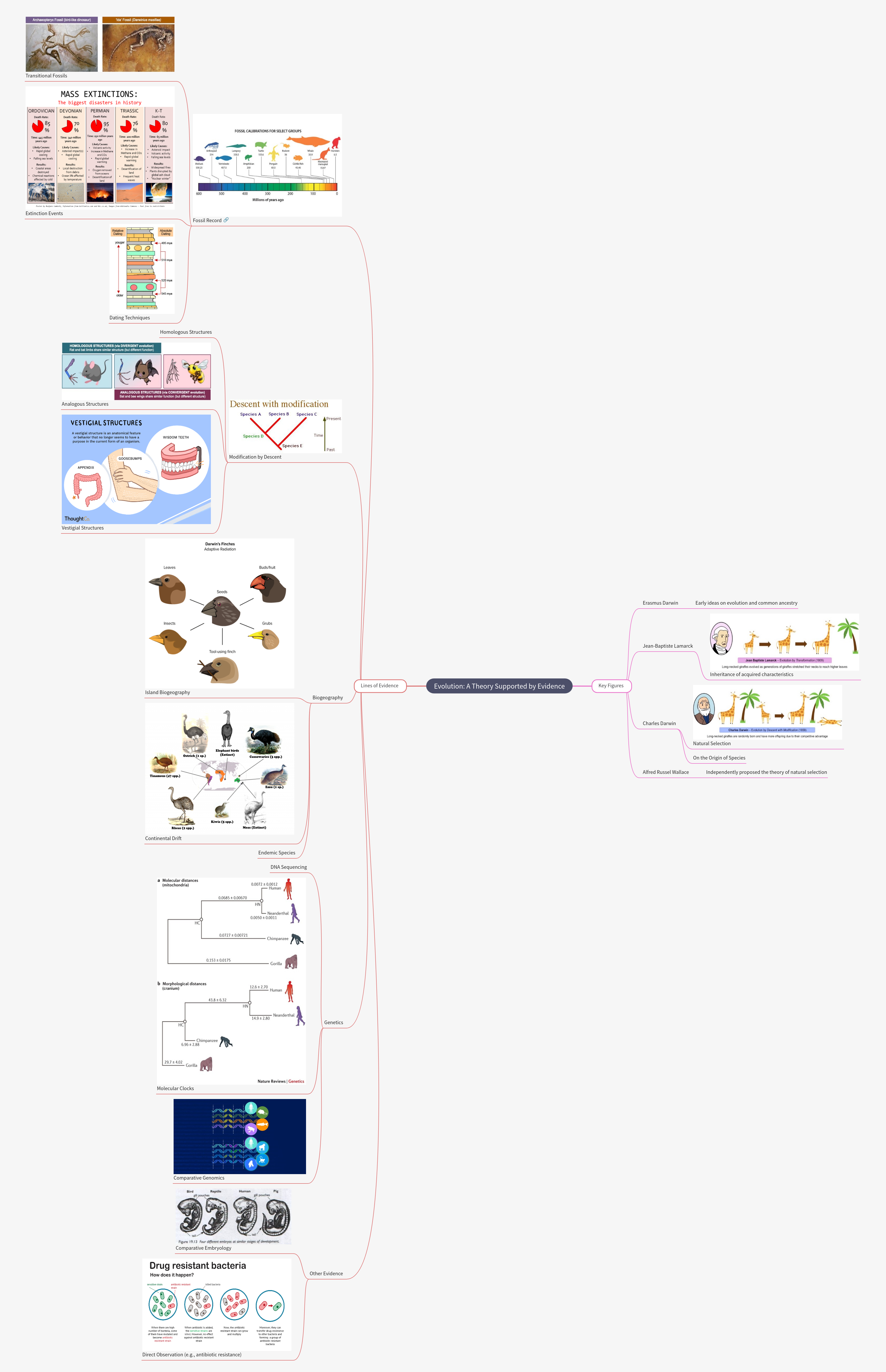 Evolution: Evidence & Key Figures