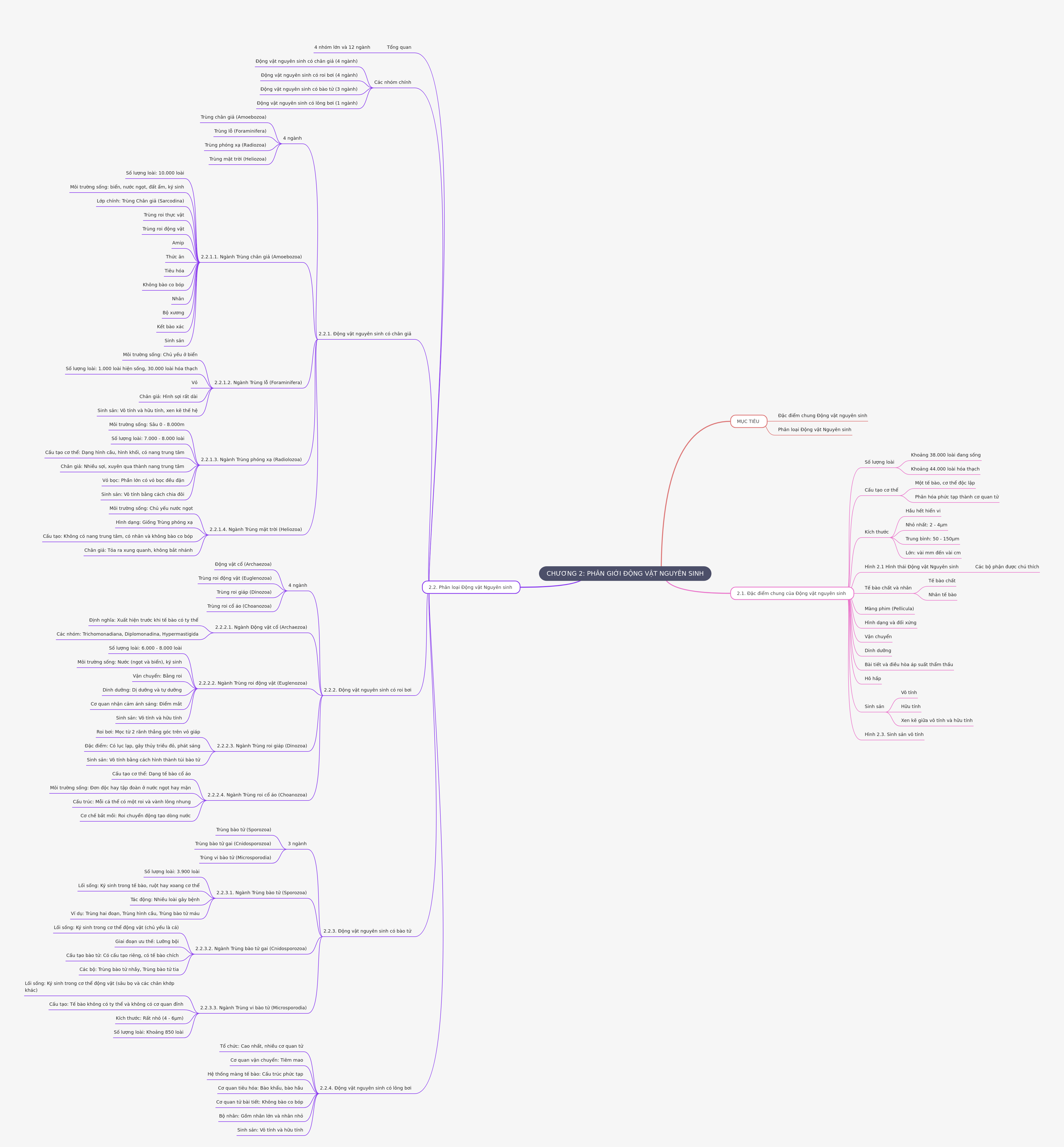 Protozoan Kingdom: Characteristics & Classification