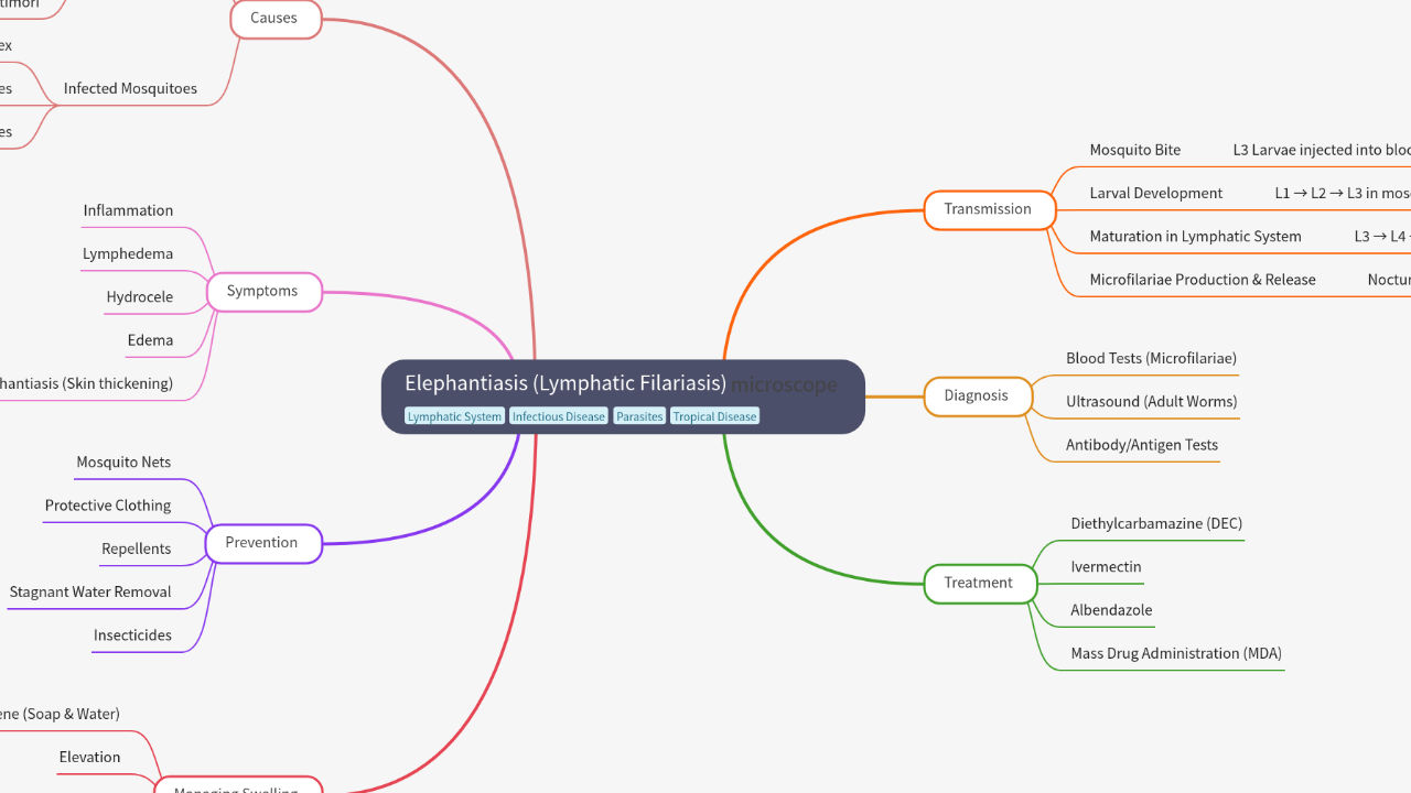 Mind Map:Elephantiasis (Lymphatic Filariasis) ...