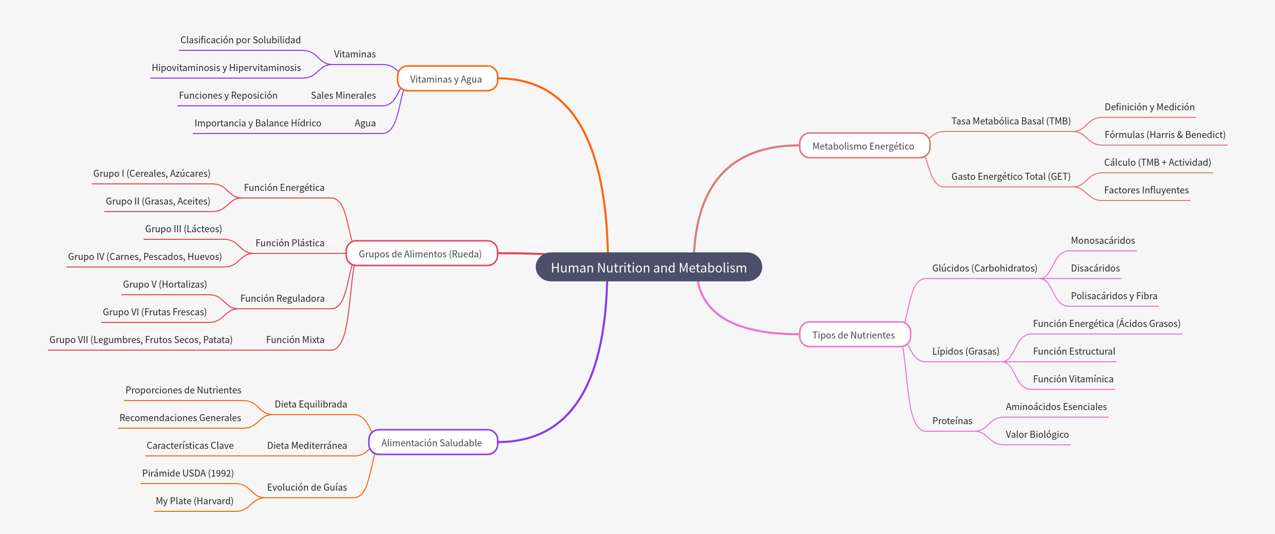 Human Nutrition and Metabolism: A Comprehensive Guide