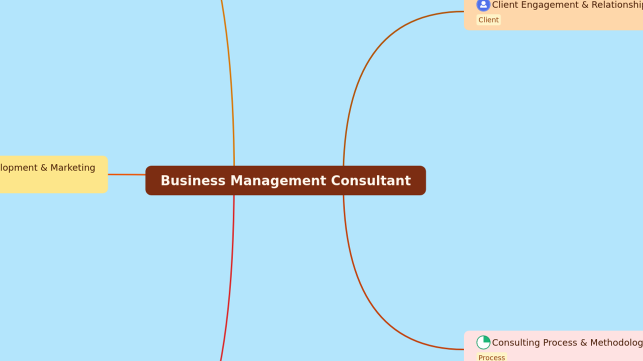 Business Management Consultant