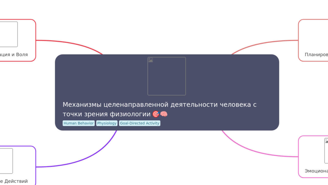 Механизмы целенаправленной деятельности человека с точки зрения физиологии