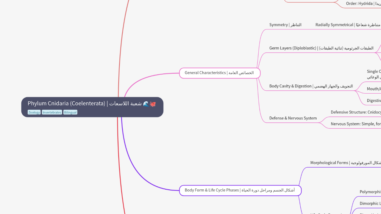 Phylum Cnidaria (Coelenterata) | شعبة اللاسعات