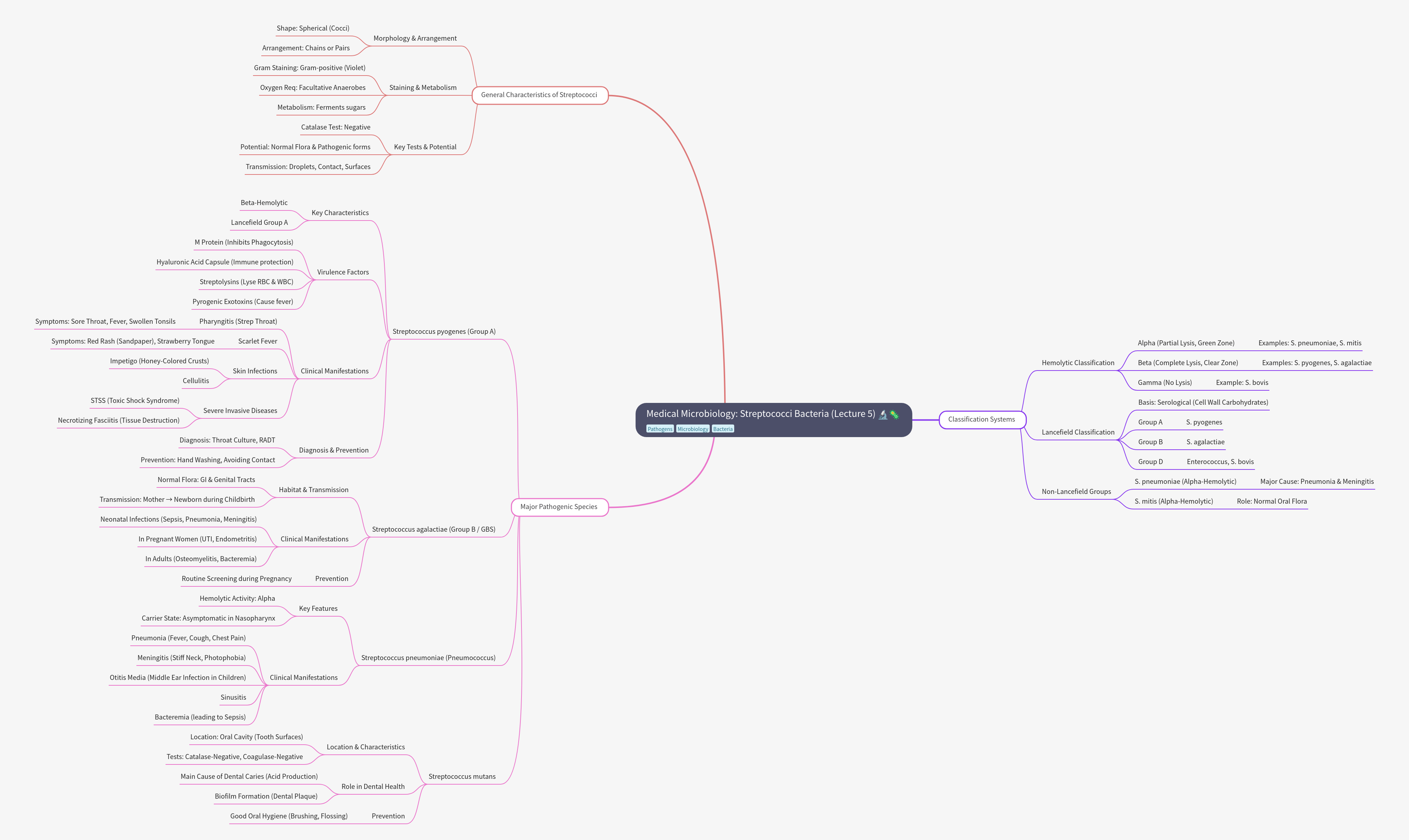 Medical Microbiology: Characteristics of Streptococci