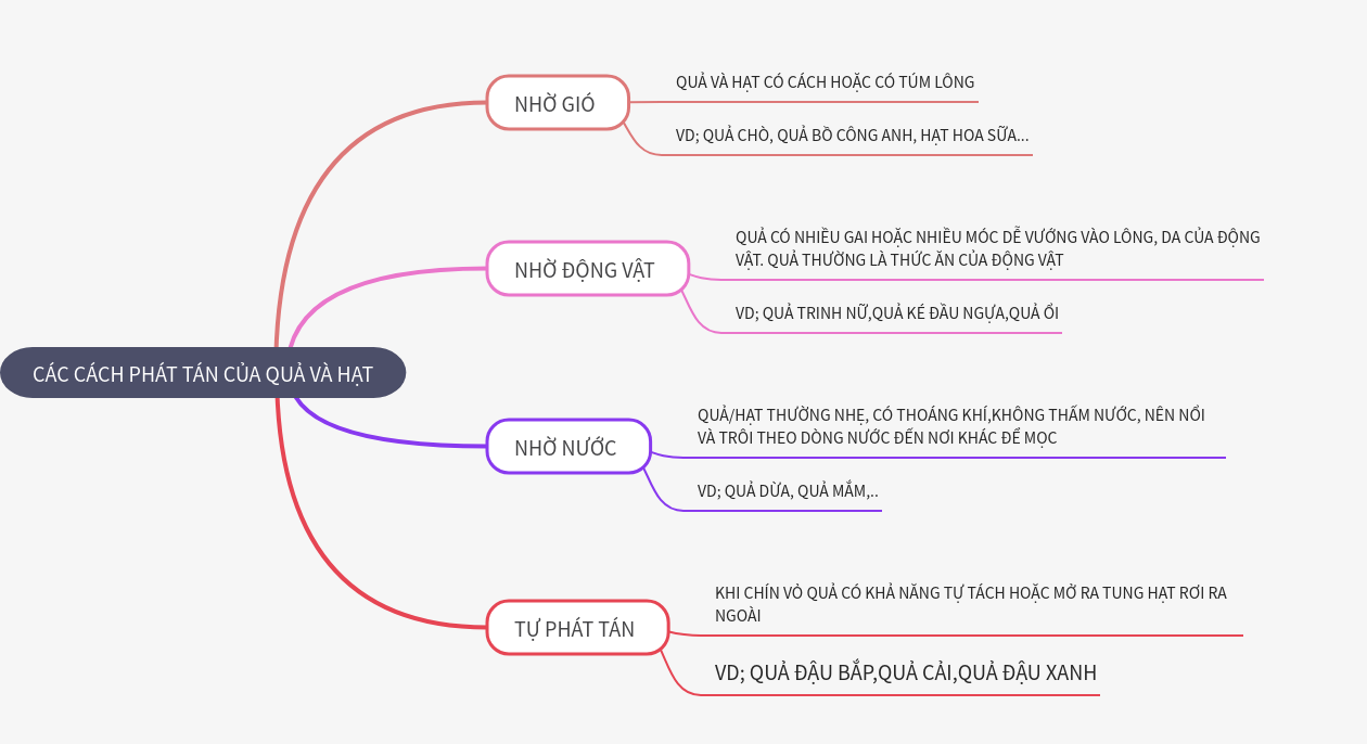 Methods of Seed and Fruit Dispersal in Nature