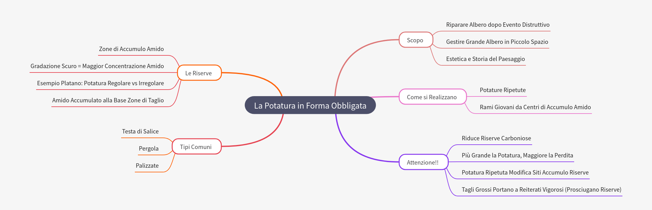 Guida alla Potatura in Forma Obbligata