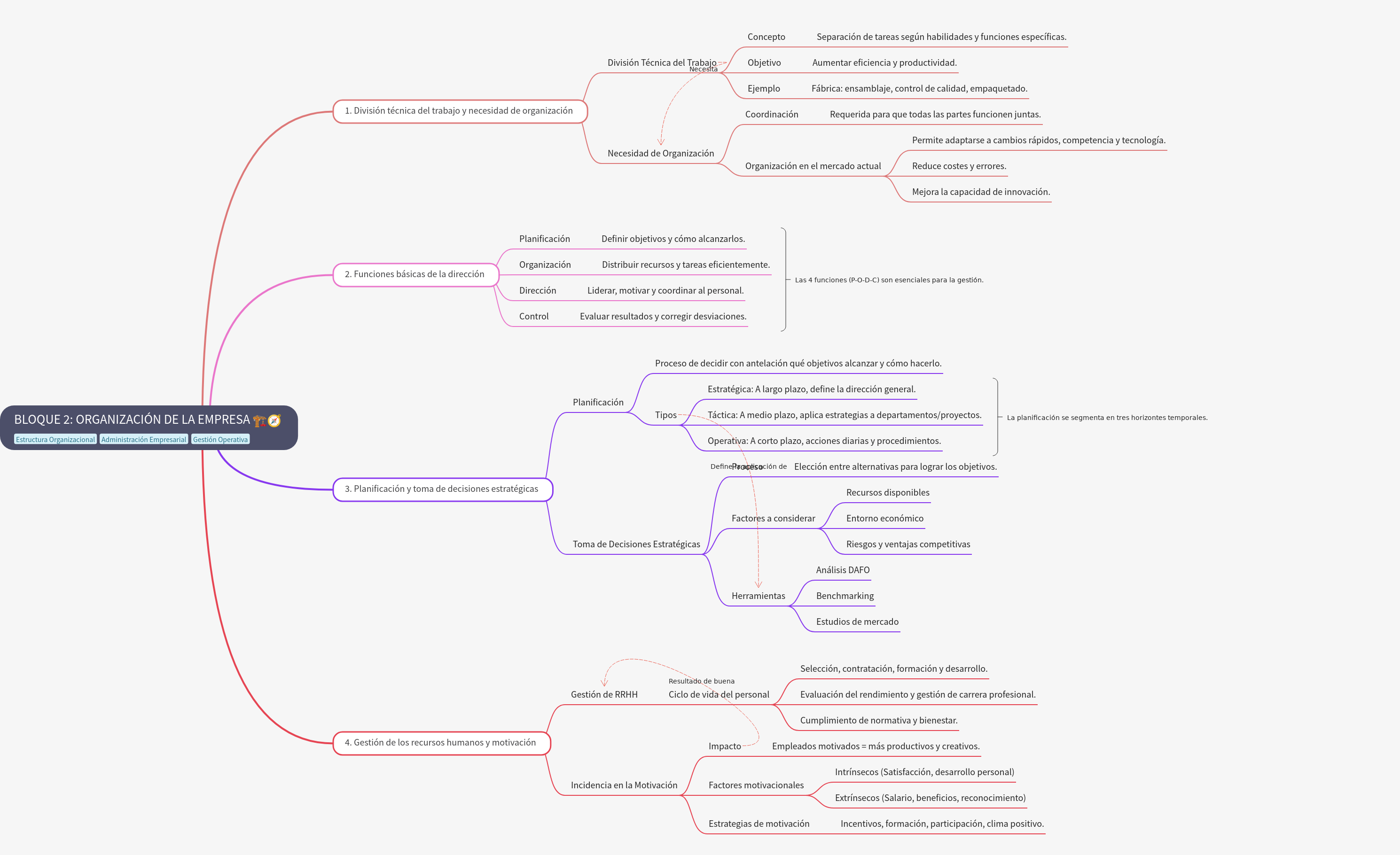 Organization of the Company: Management and Strategy