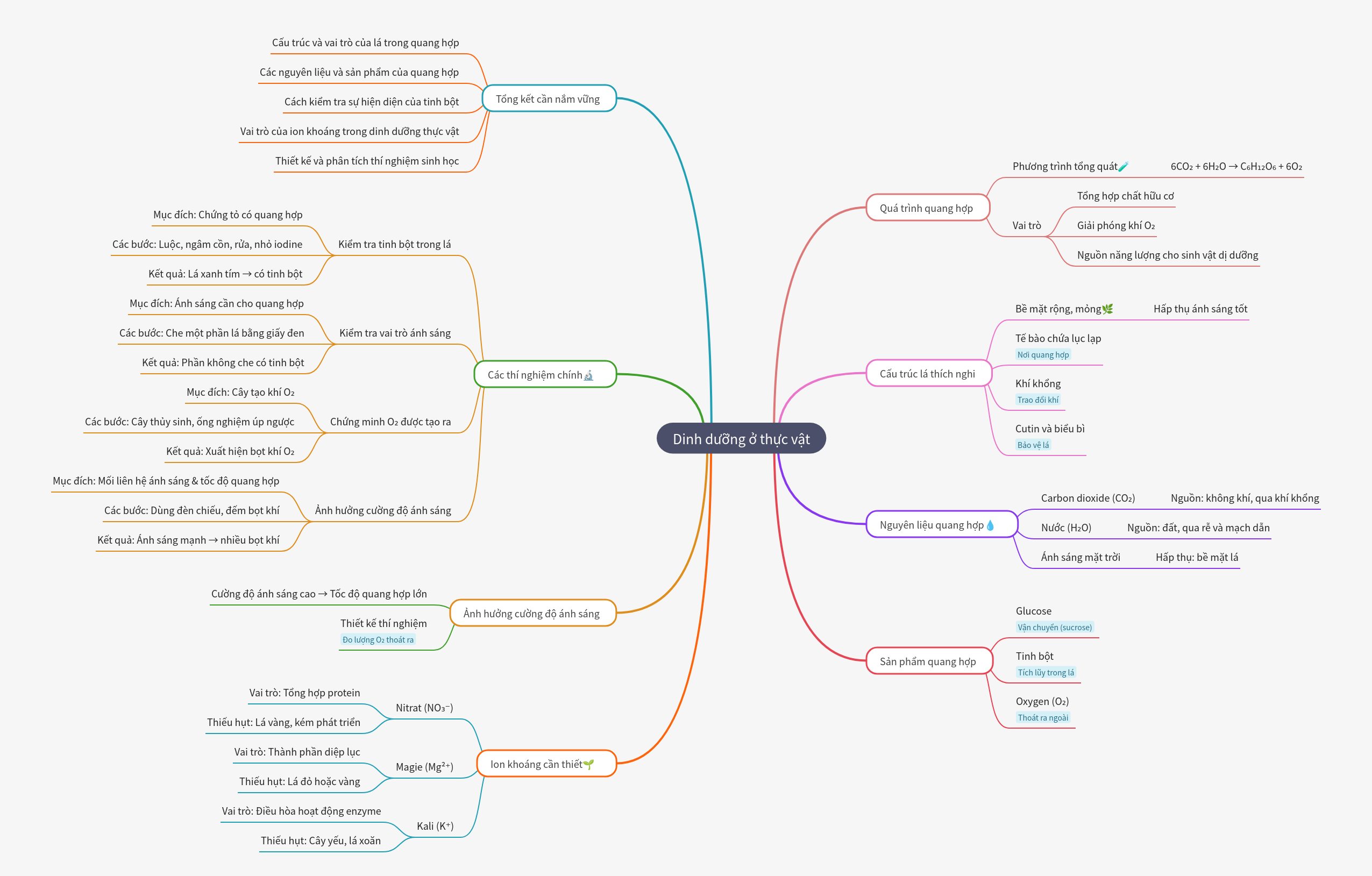Plant Nutrition: Photosynthesis & Mineral Needs