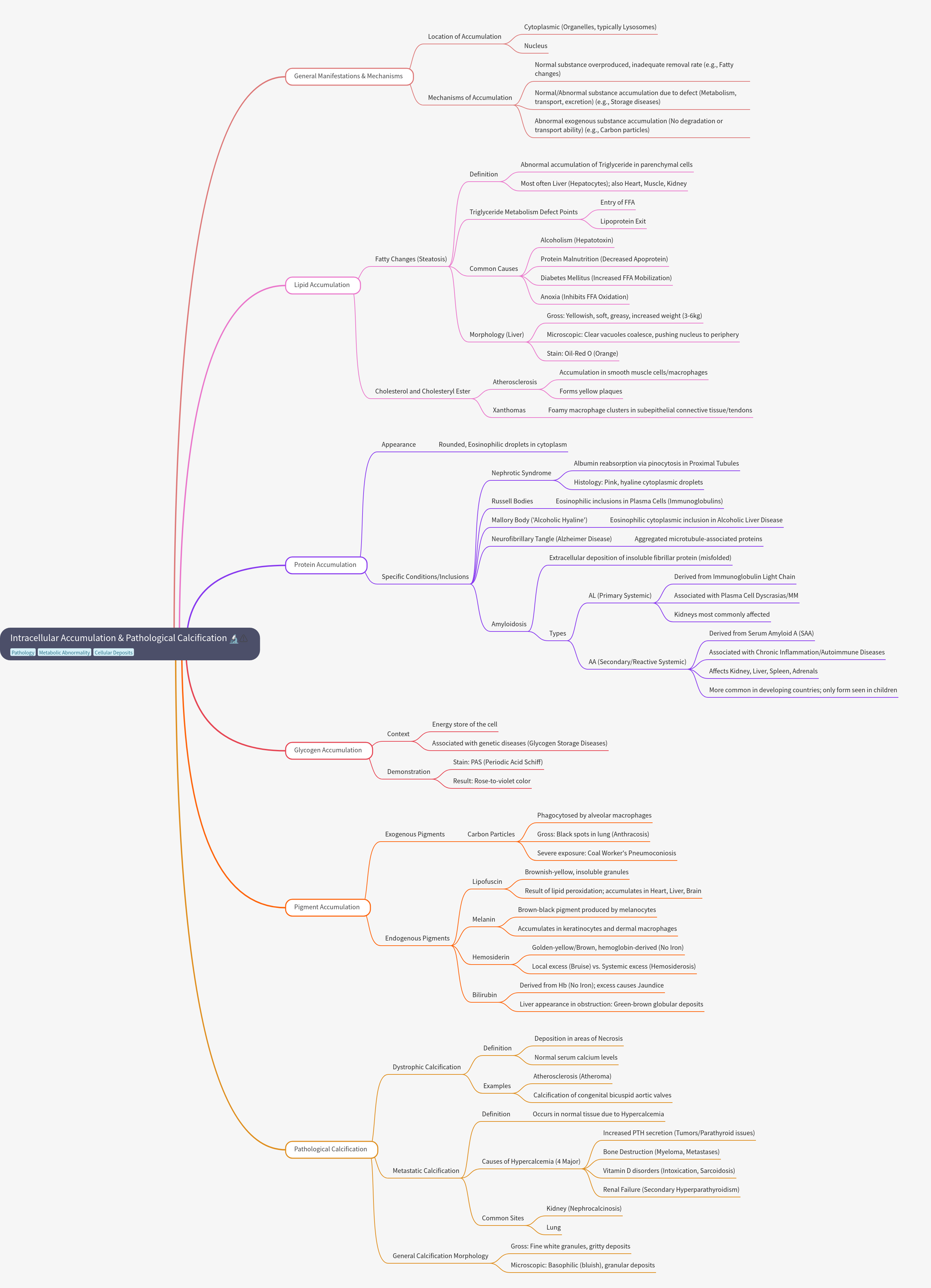 Cellular Accumulation and Pathological Calcification