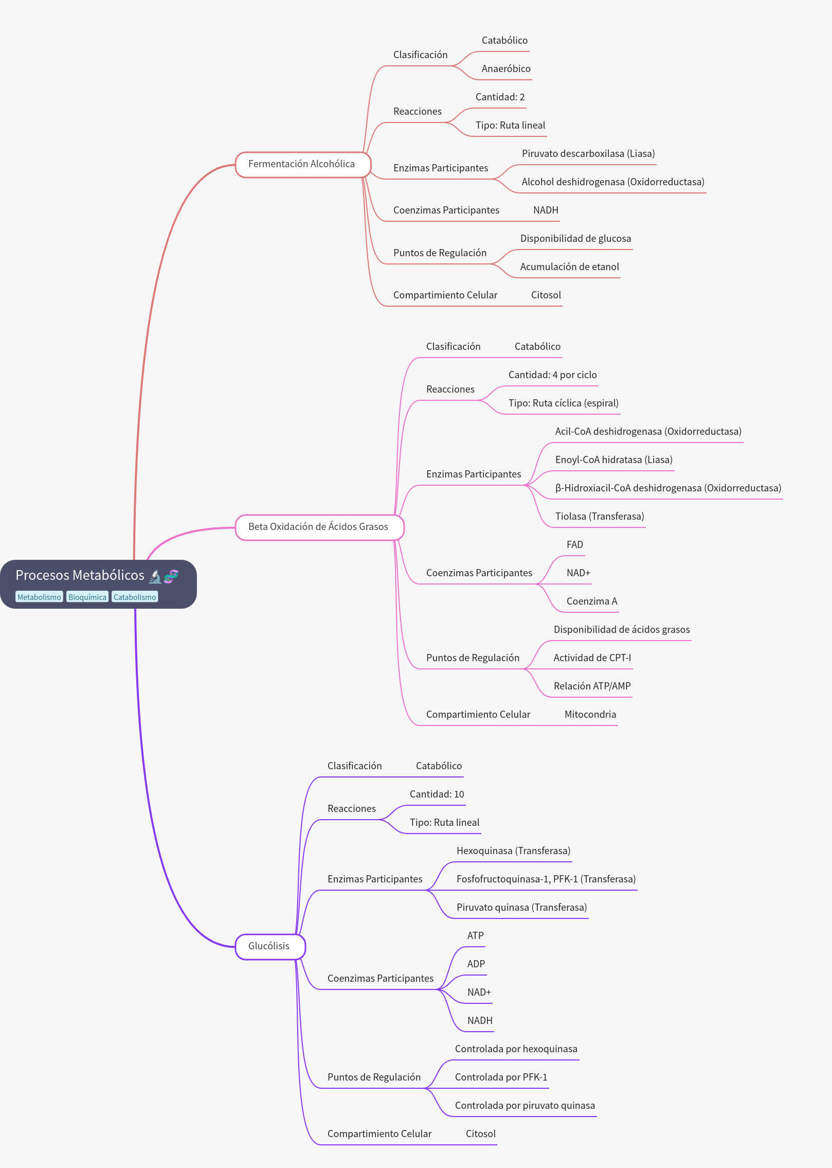 Metabolic Processes: Fermentation, Beta-Oxidation, Glycolysis