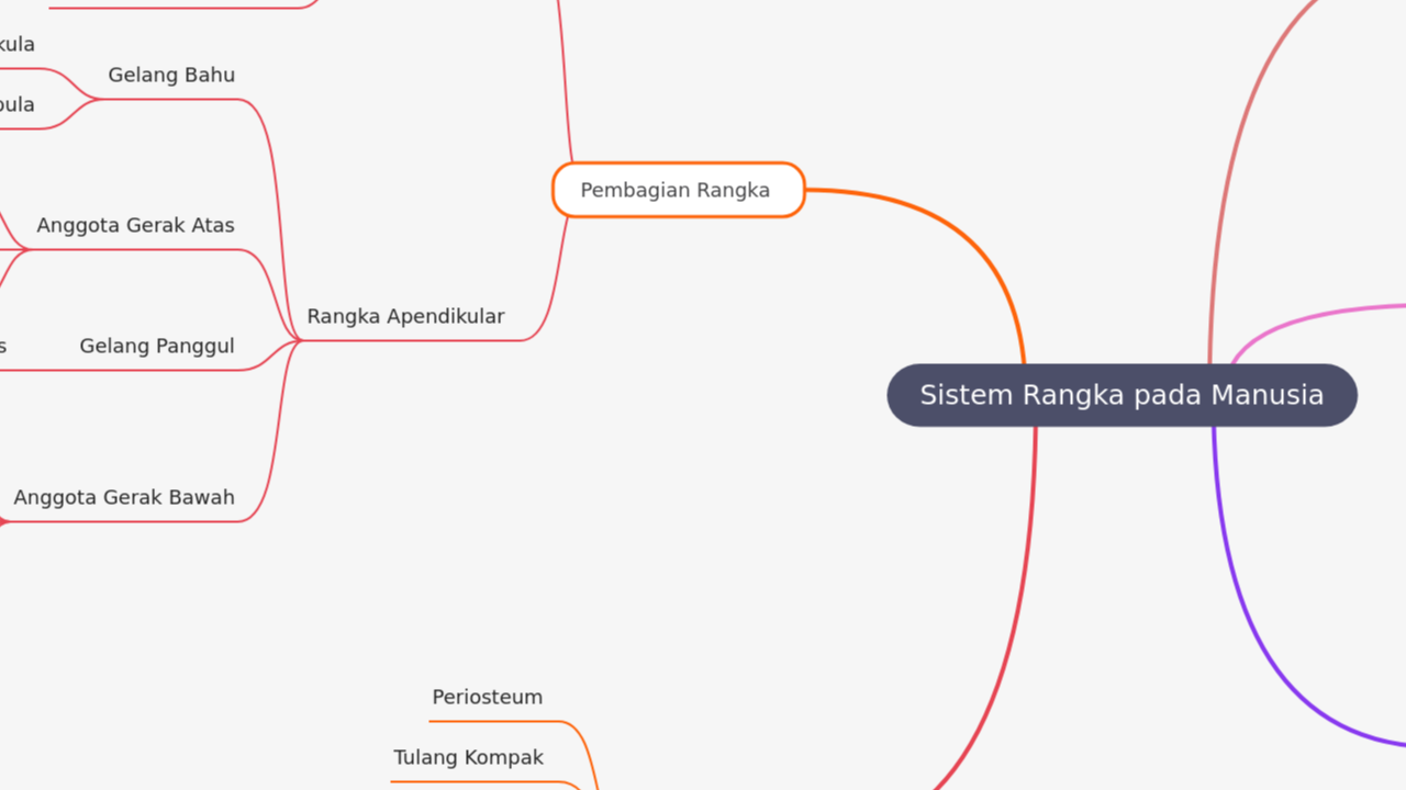 Mind Map:Sistem Rangka pada Manusia ...