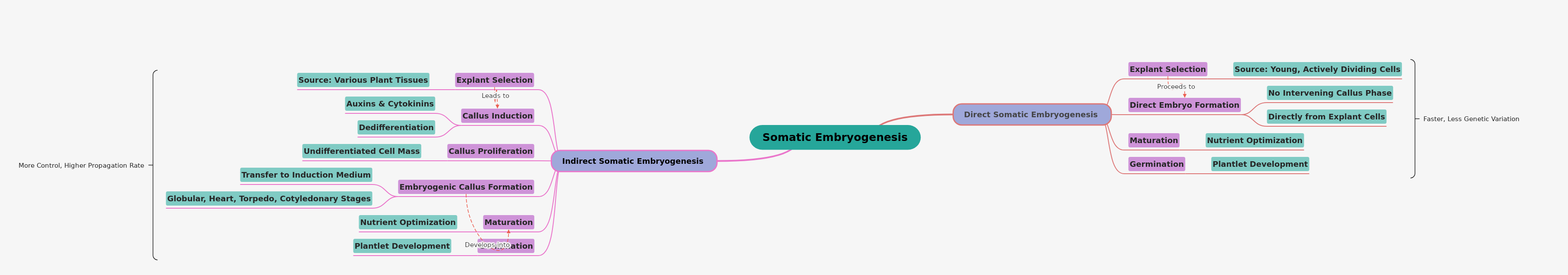 Somatic Embryogenesis Pathways Explained