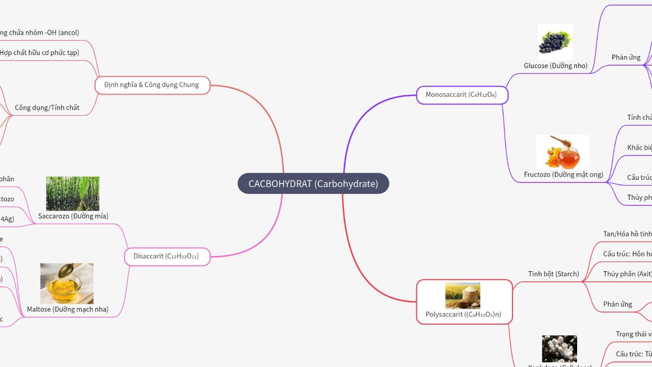 Mind Map:CACBOHYDRAT (Carbohydrate) ...
