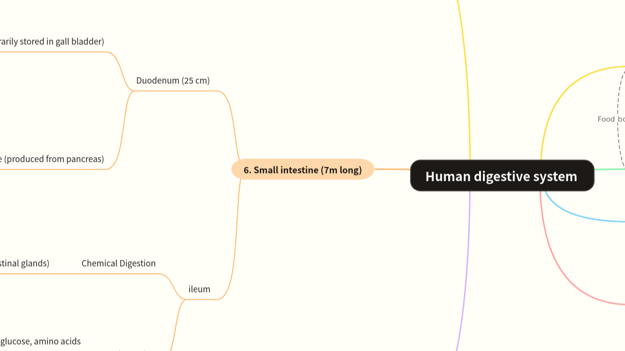 Mind Map:Human digestive system ...