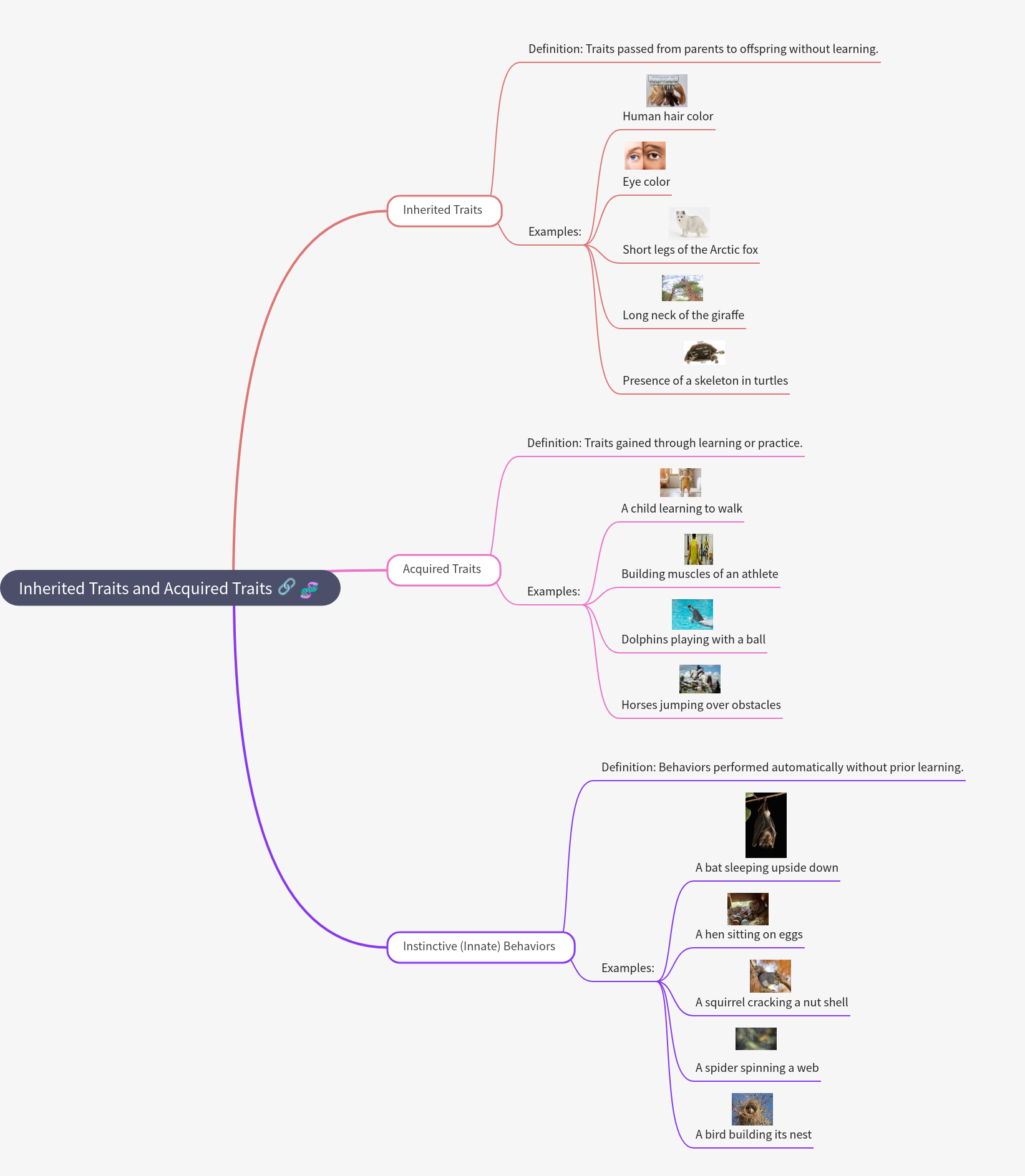 Inherited & Acquired Traits: A Comprehensive Guide