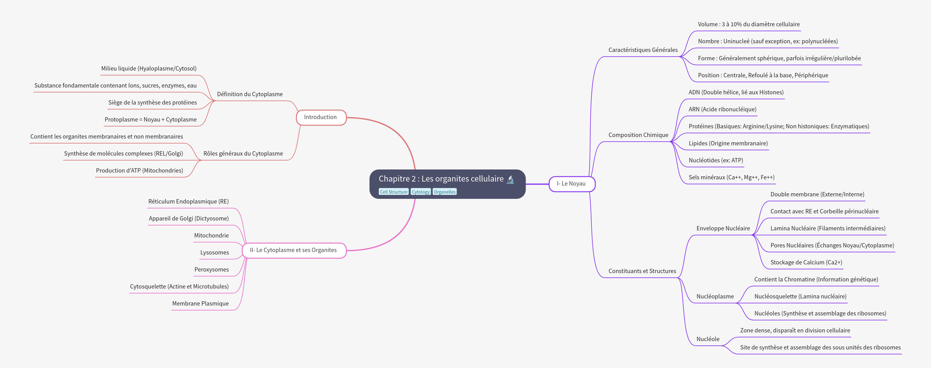 Cellular Organelles: Cytoplasm and Nucleus Structure