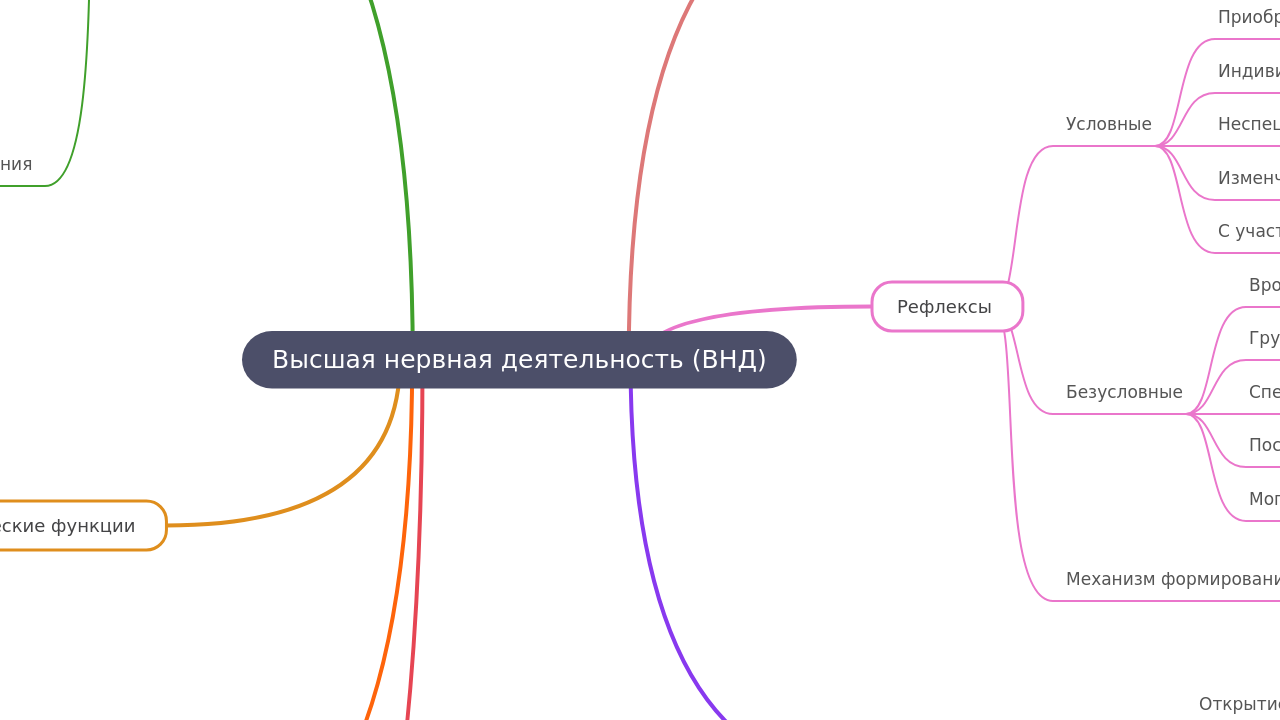 Высшая нервная деятельность (ВНД)