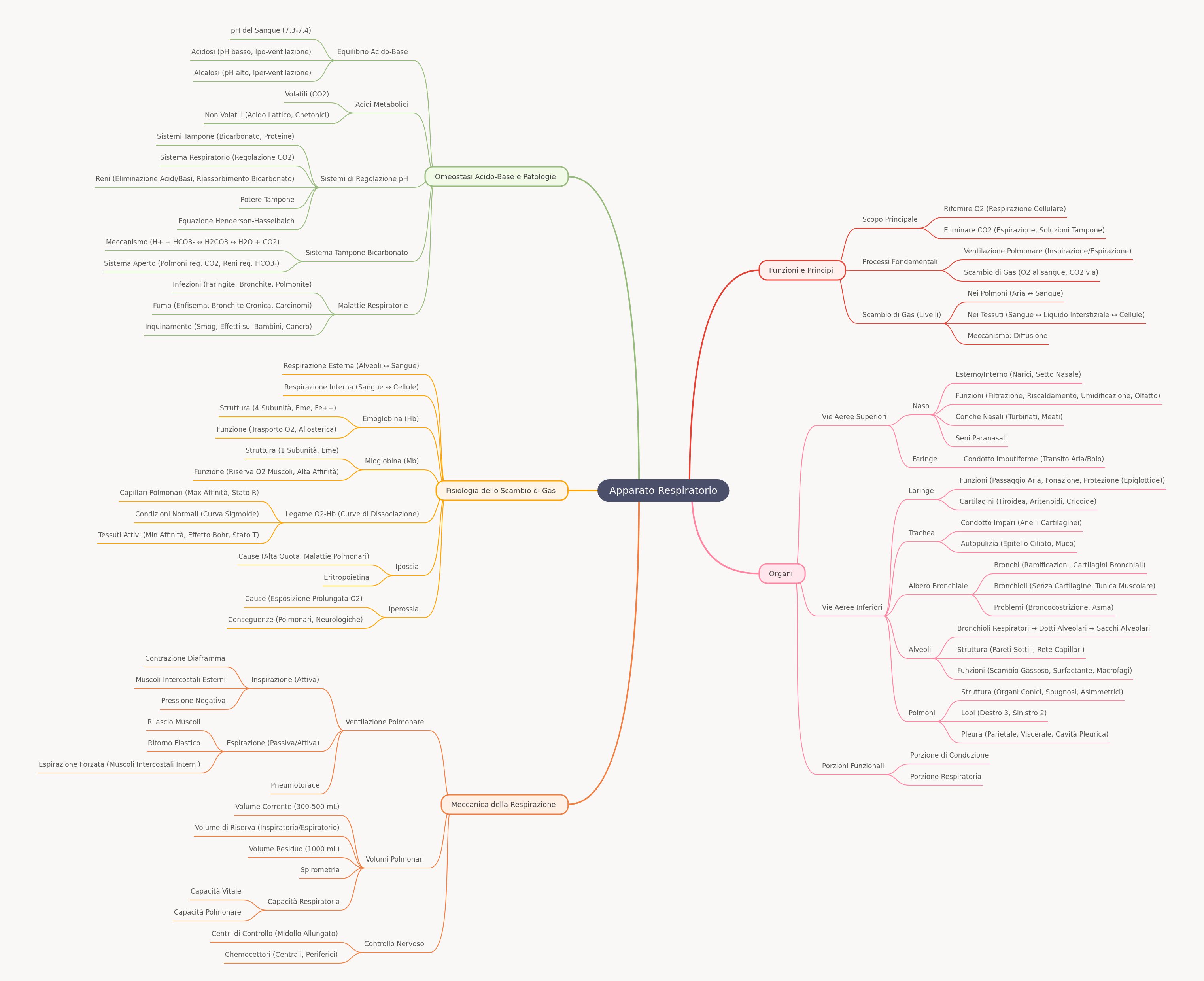 The Respiratory System: Structure, Function, and Regulation