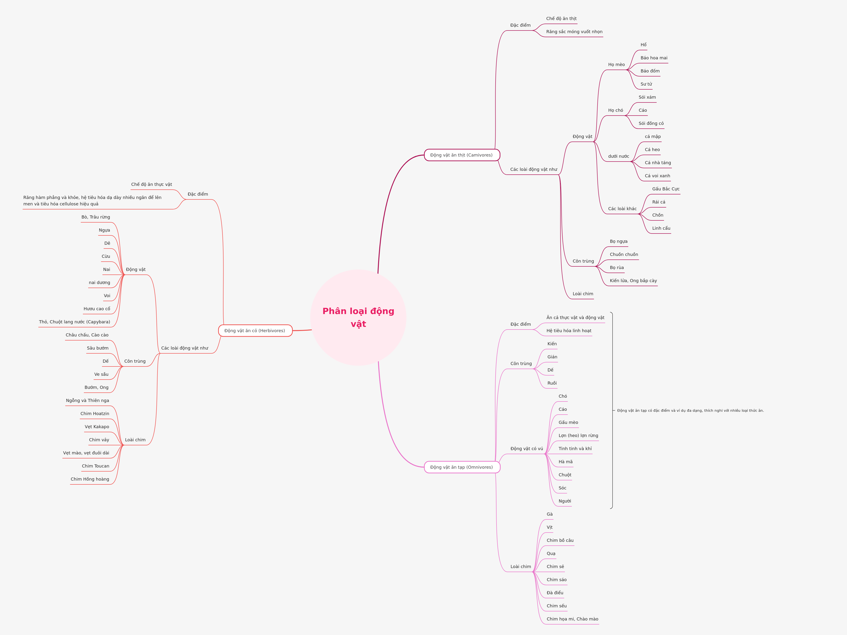 Animal Classification by Diet
