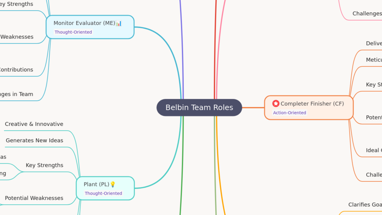 Belbin Team Roles