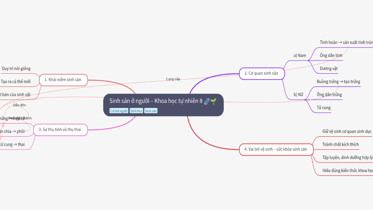 Mind Map:Sinh sản ở người – Khoa học tự nhiên 8 ...
