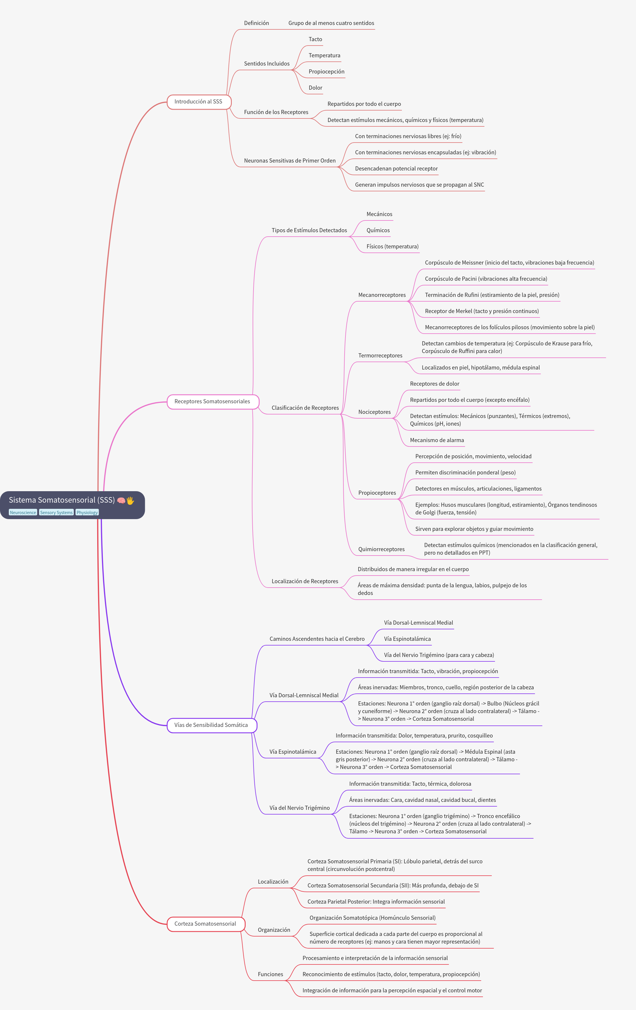 Understanding the Somatosensory System