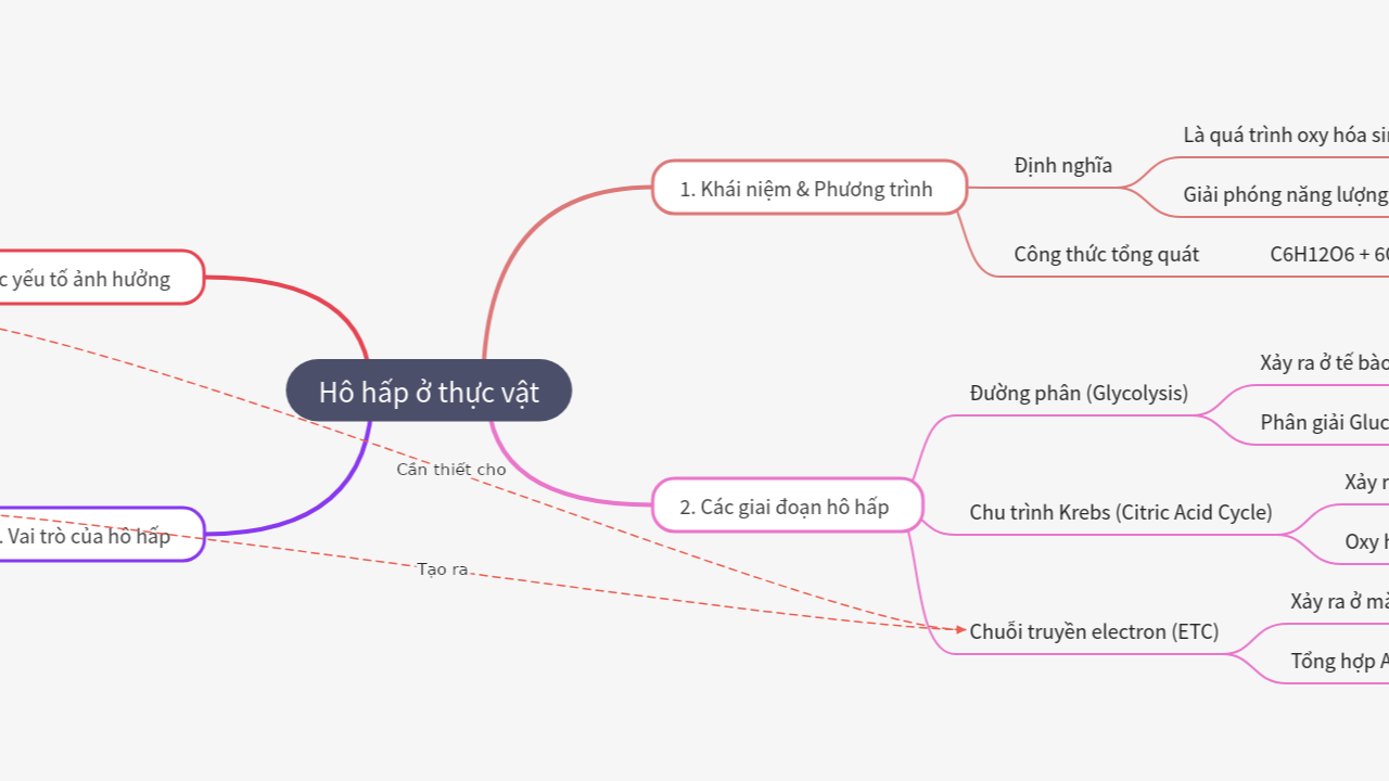 Mind Map:Hô hấp ở thực vật ...