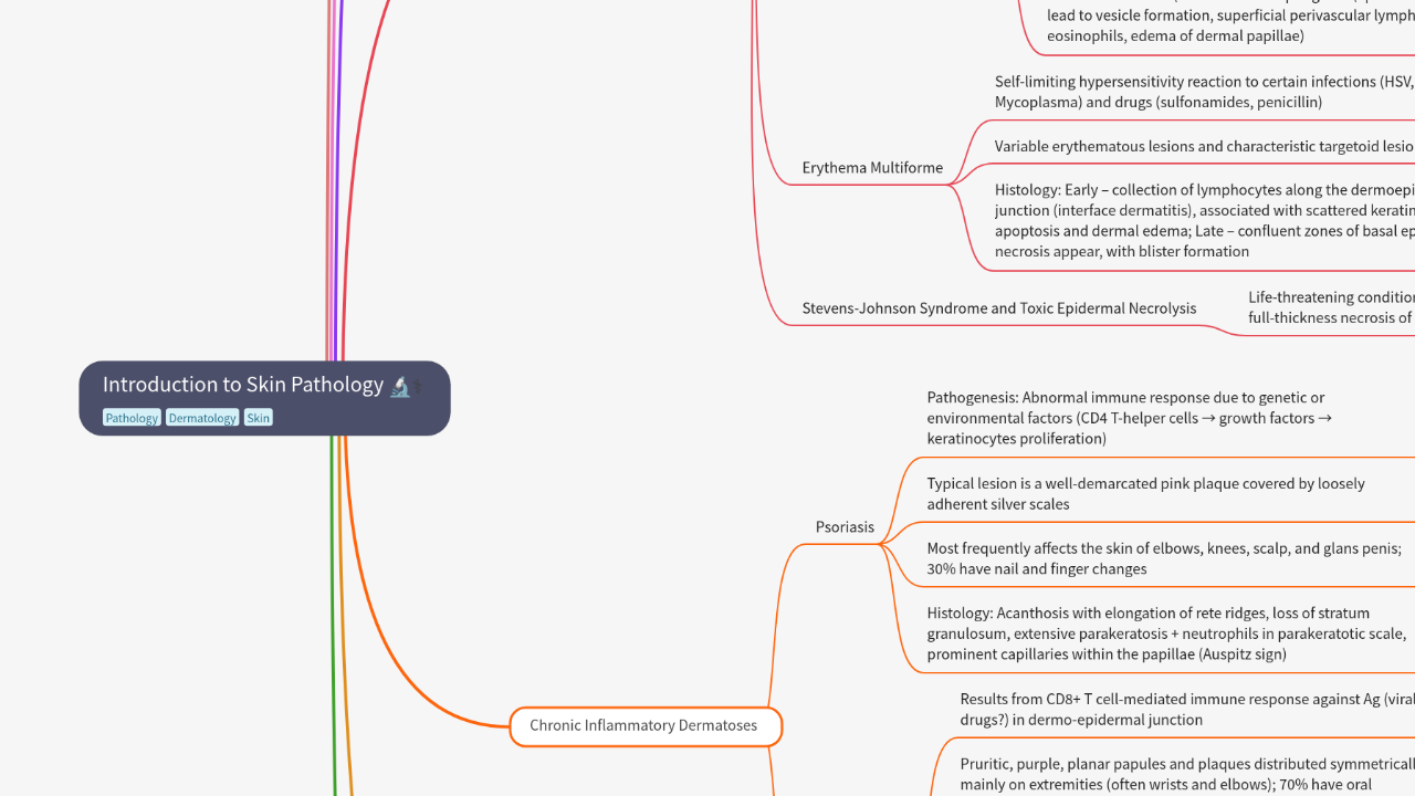 Mind Map:Introduction to Skin Pathology ...