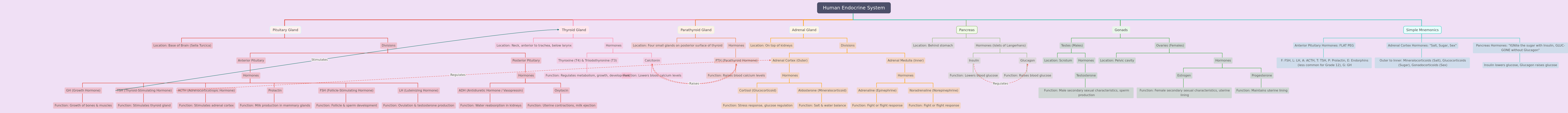 Human Endocrine System: Glands & Hormones Overview