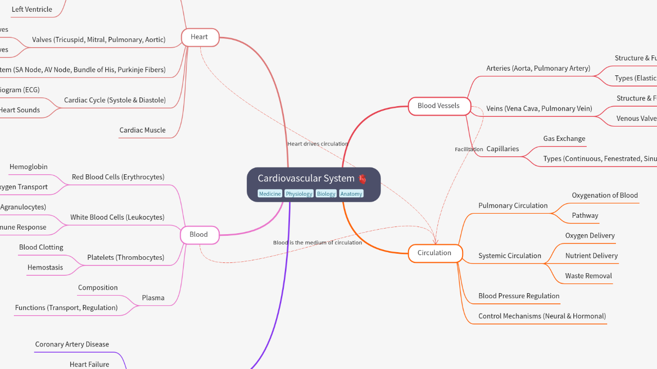 Mind Map:Cardiovascular System ...