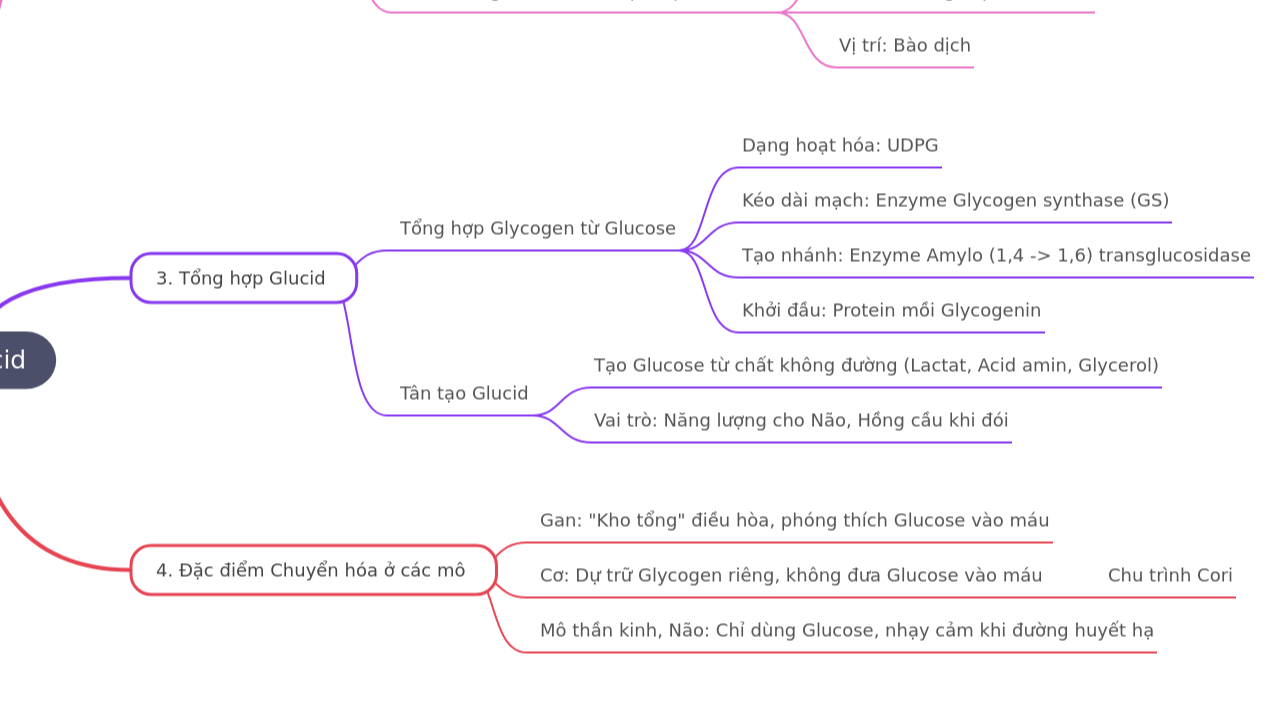 Chuyển Hoá Glucid