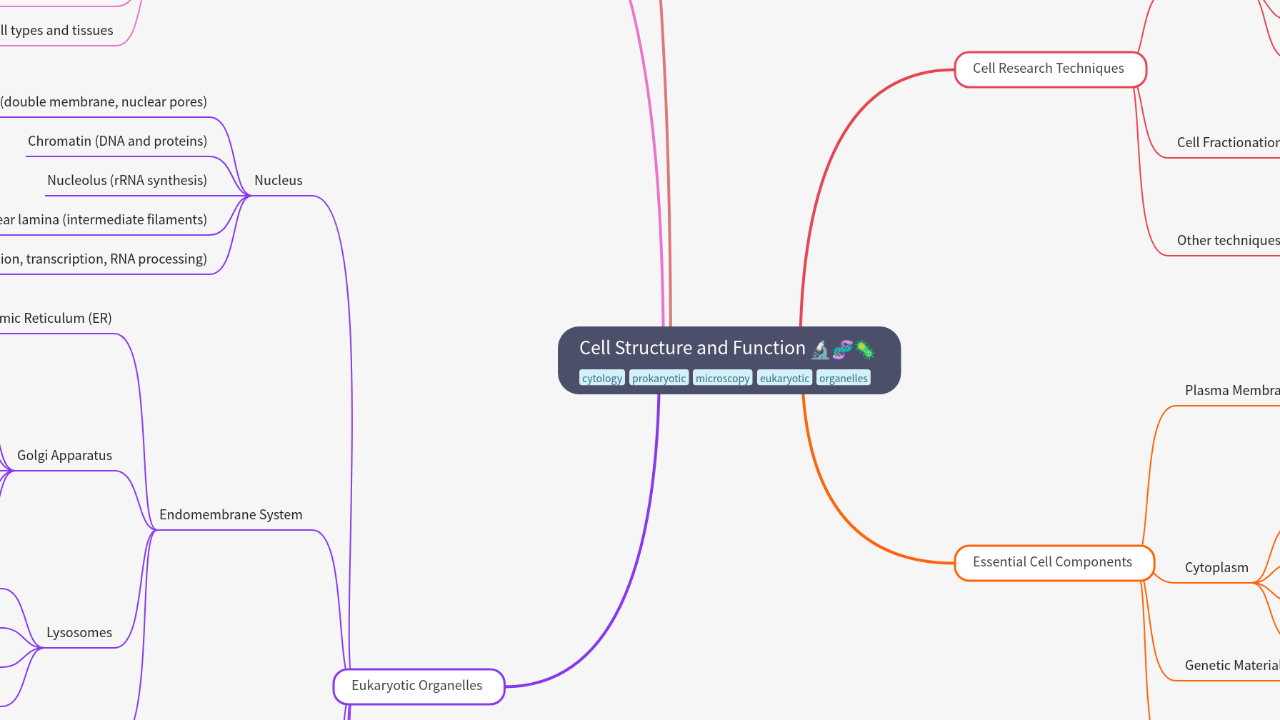 Mind Map:Cell Structure and Function ...