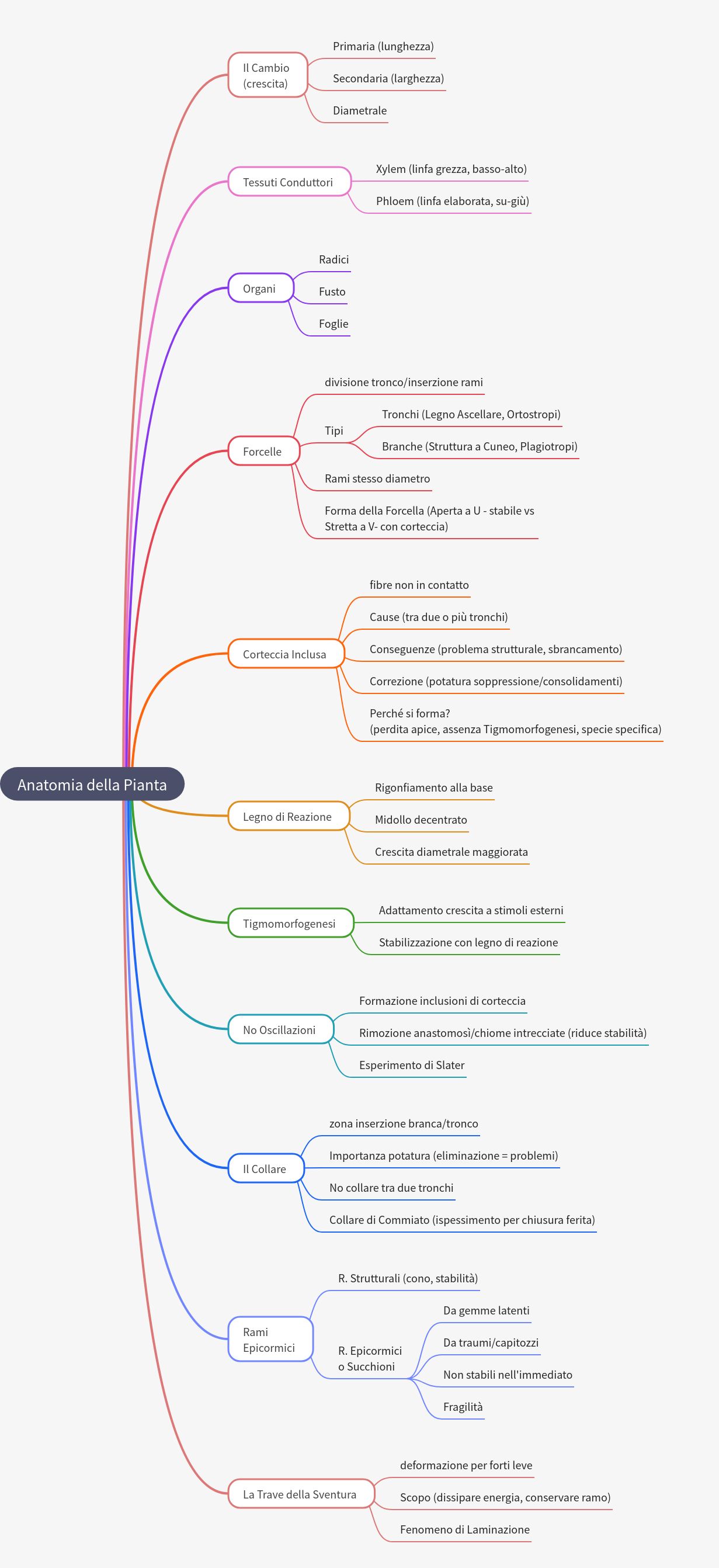 Understanding Tree Anatomy, Growth, and Pruning