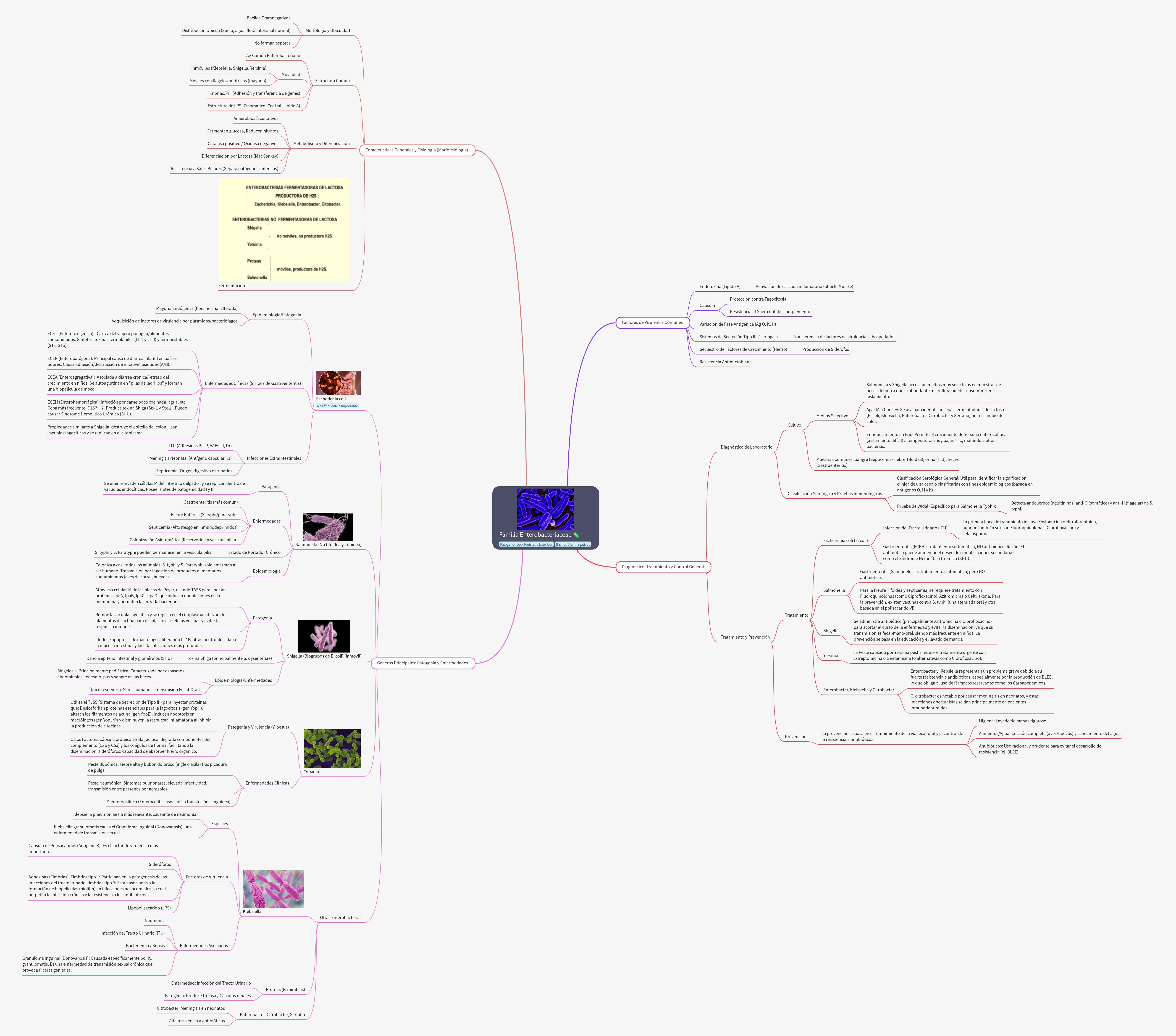Enterobacteriaceae Family: Characteristics, Pathogenesis, and Control