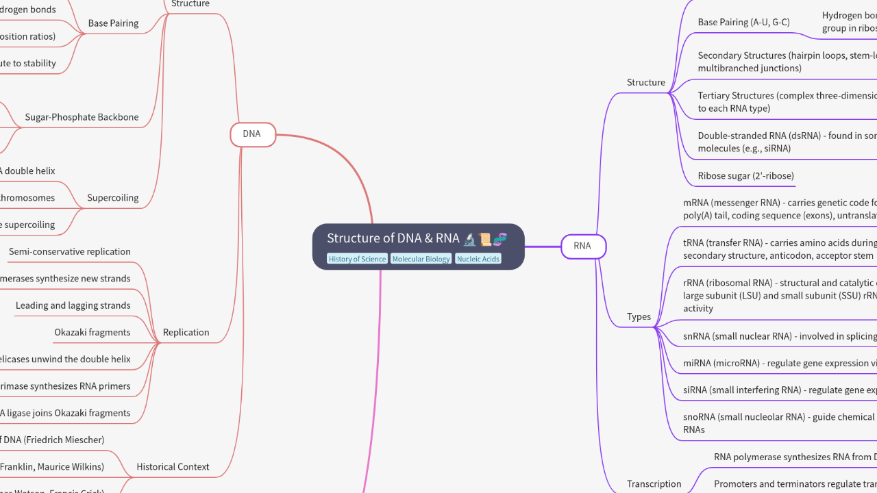 Mind Map:Structure of DNA & RNA ...