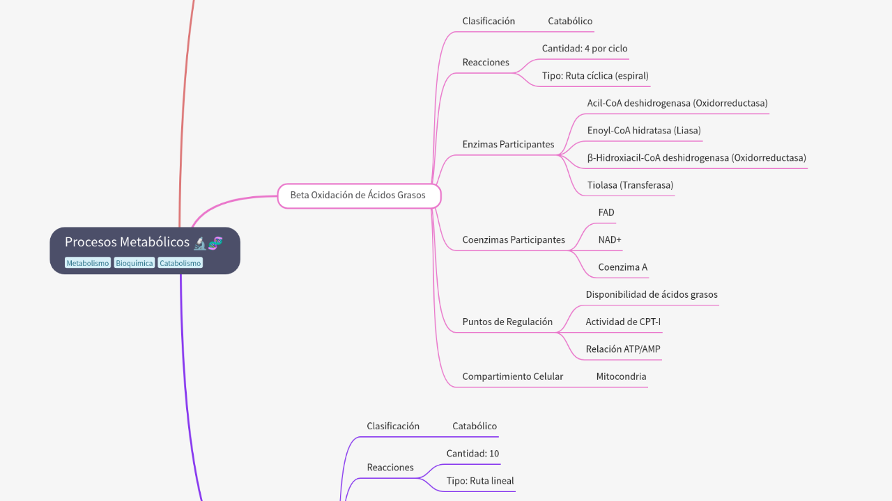Mind Map:Procesos Metabólicos ...