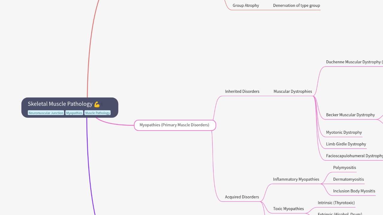 Mind Map:Skeletal Muscle Pathology ...