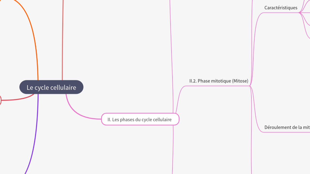 Mind Map:Le cycle cellulaire ...