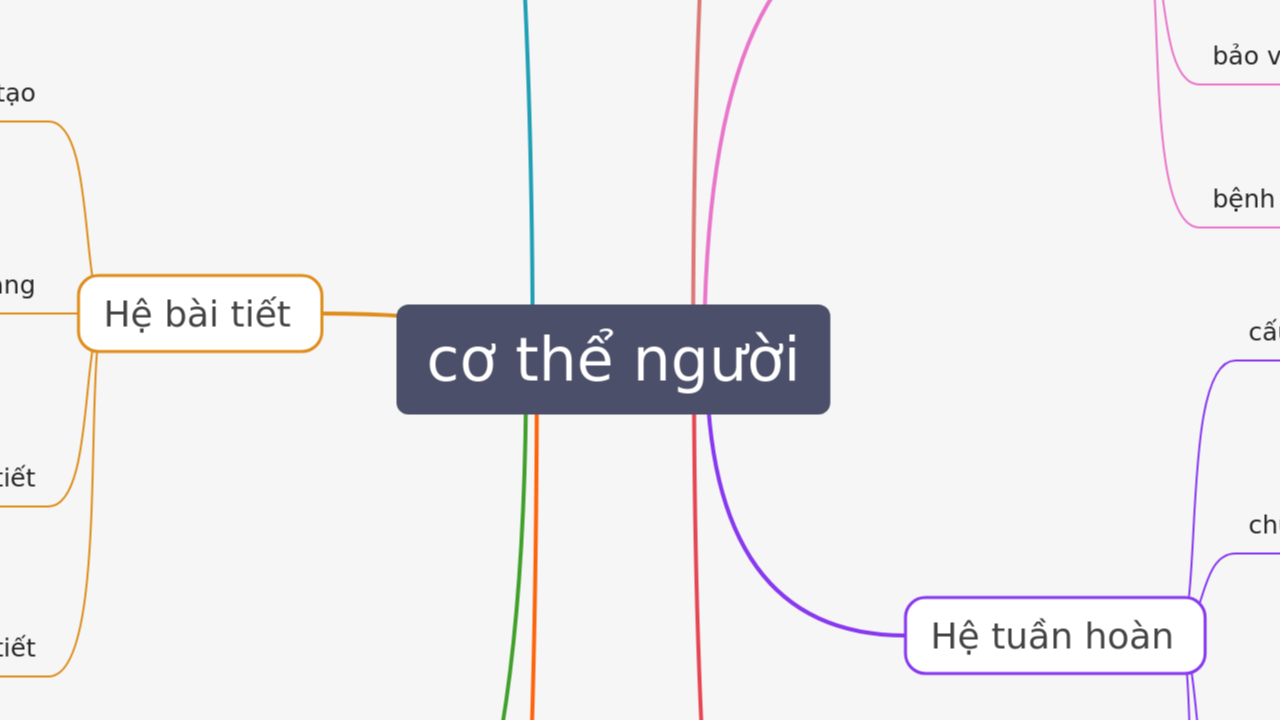 Mind Map:cơ thể người ...