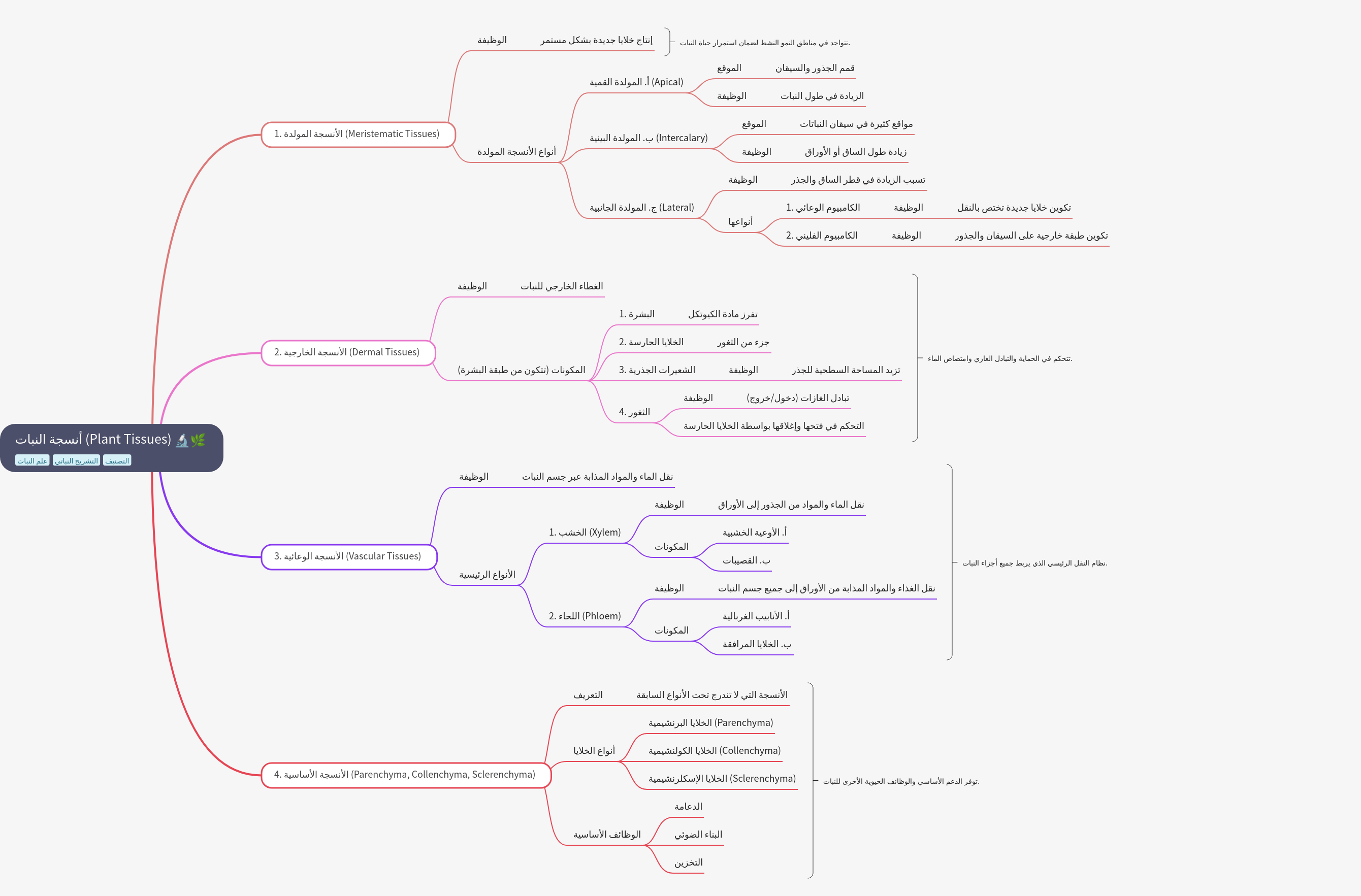 Plant Tissues: Structure, Function, and Classification